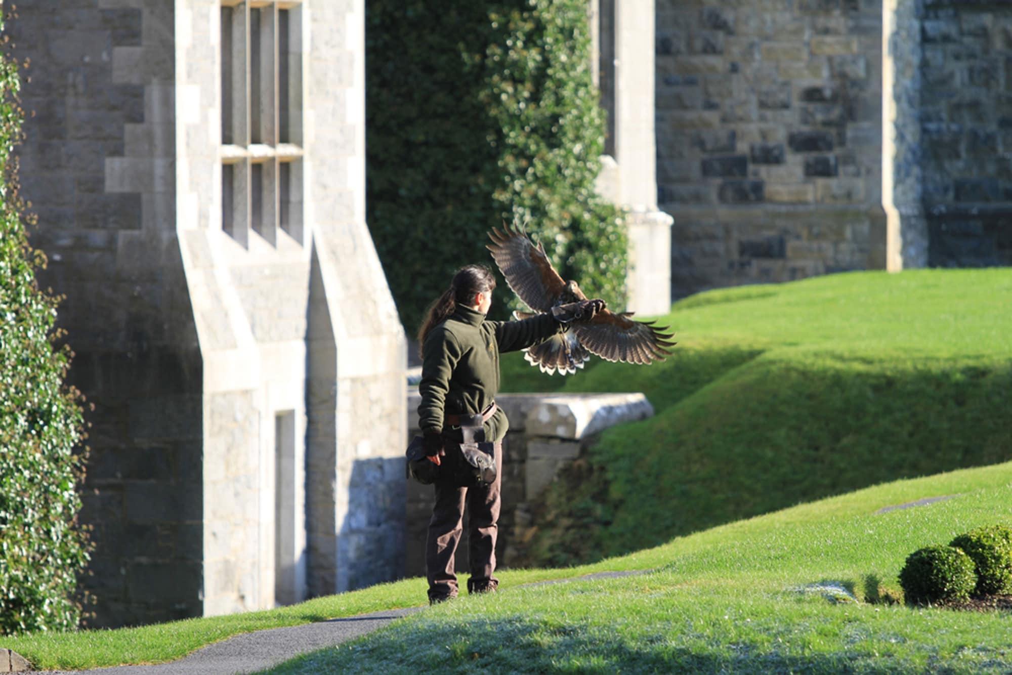 فندق Ashford Castle كونغ المظهر الخارجي الصورة